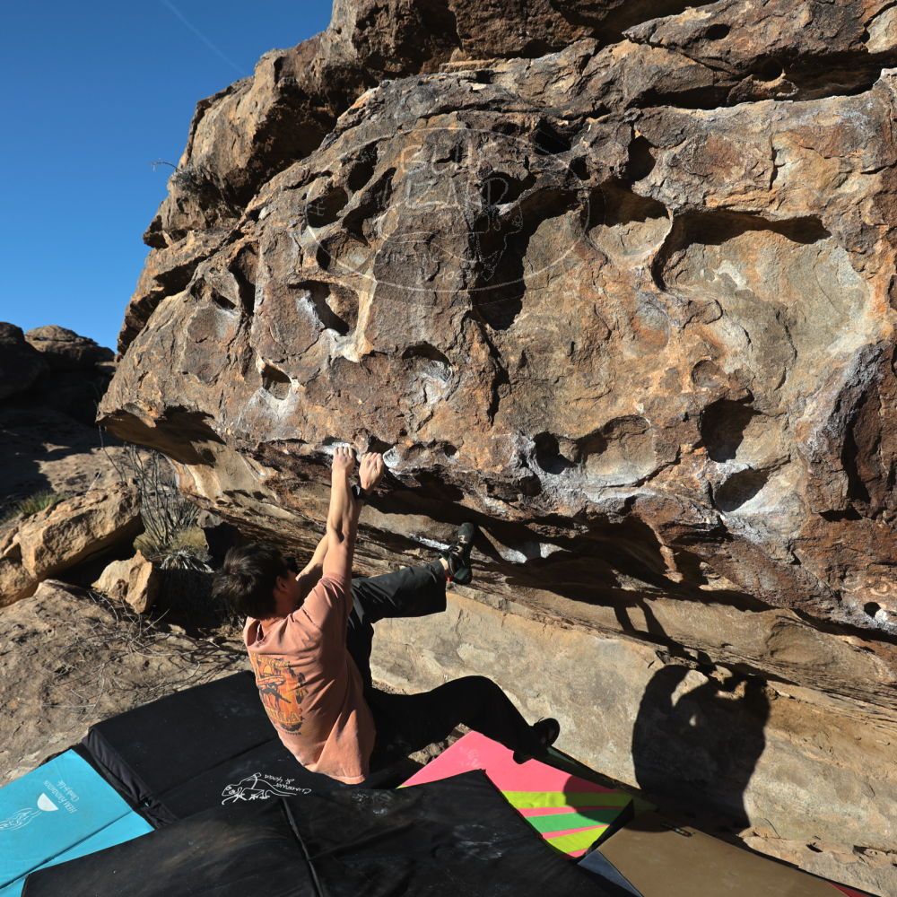 

Filename: SRM_20230114_0914240.jpg
Aperture: f/5.6
Shutter Speed: 1/640
Body: Canon EOS R6
Lens: Canon EF 16-35mm f/2.8 L