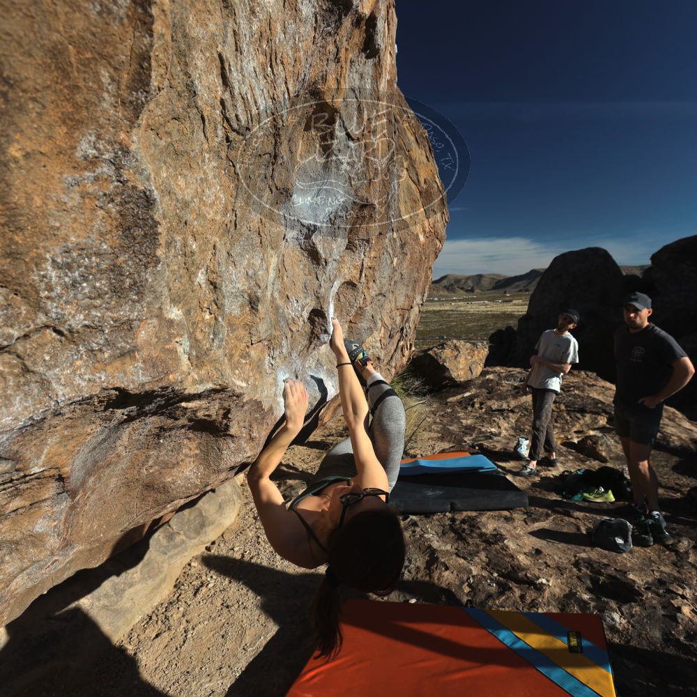 

Filename: SRM_20230114_0920220.jpg
Aperture: f/5.6
Shutter Speed: 1/640
Body: Canon EOS R6
Lens: Canon EF 16-35mm f/2.8 L