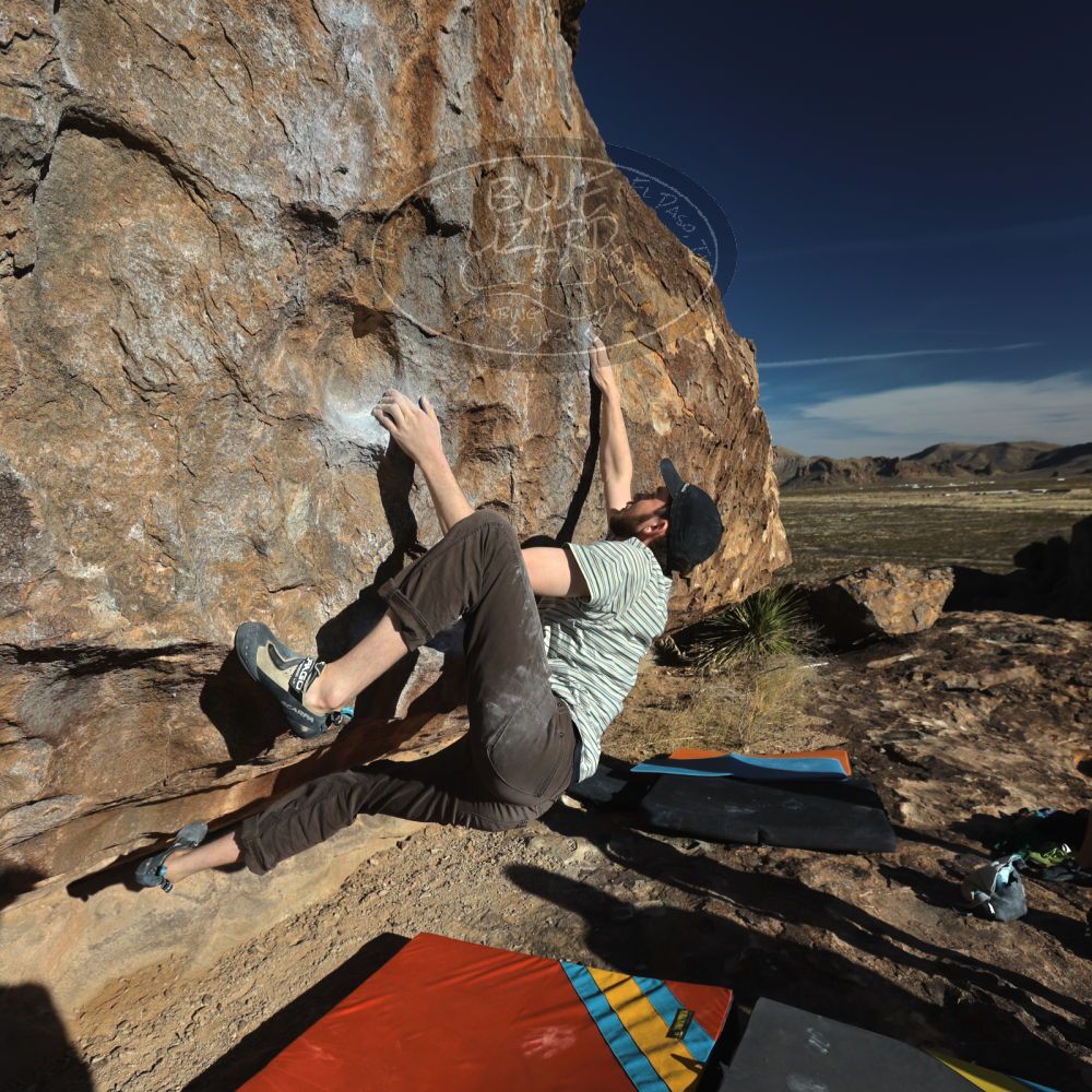 

Filename: SRM_20230114_0924590.jpg
Aperture: f/5.6
Shutter Speed: 1/640
Body: Canon EOS R6
Lens: Canon EF 16-35mm f/2.8 L