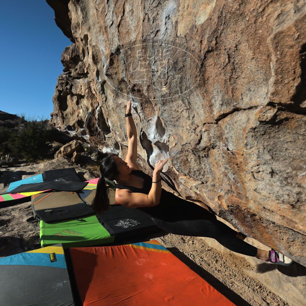 

Filename: SRM_20230114_0930050.jpg
Aperture: f/5.6
Shutter Speed: 1/640
Body: Canon EOS R6
Lens: Canon EF 16-35mm f/2.8 L