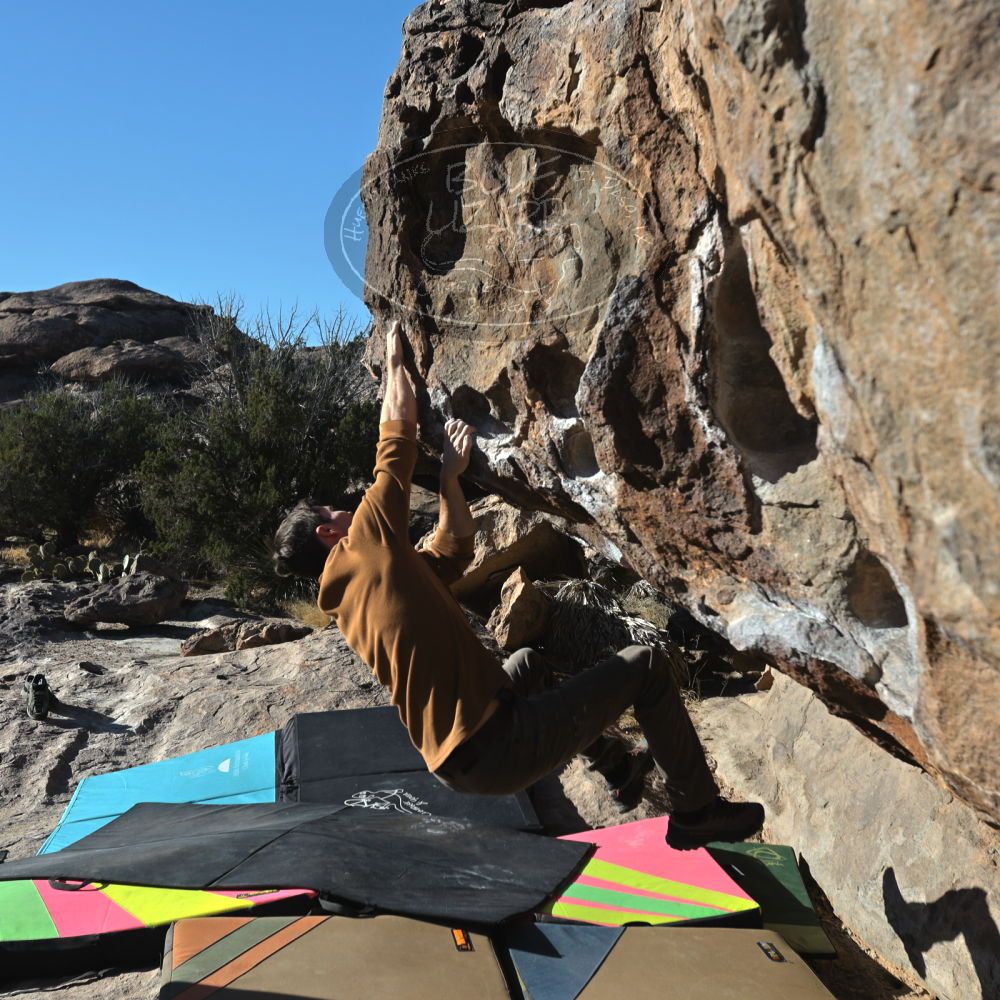 

Filename: SRM_20230114_0932150.jpg
Aperture: f/5.6
Shutter Speed: 1/640
Body: Canon EOS R6
Lens: Canon EF 16-35mm f/2.8 L