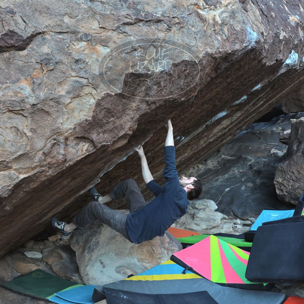 

Filename: SRM_20230114_1005380.jpg
Aperture: f/5.6
Shutter Speed: 1/640
Body: Canon EOS R6
Lens: Canon EF 16-35mm f/2.8 L