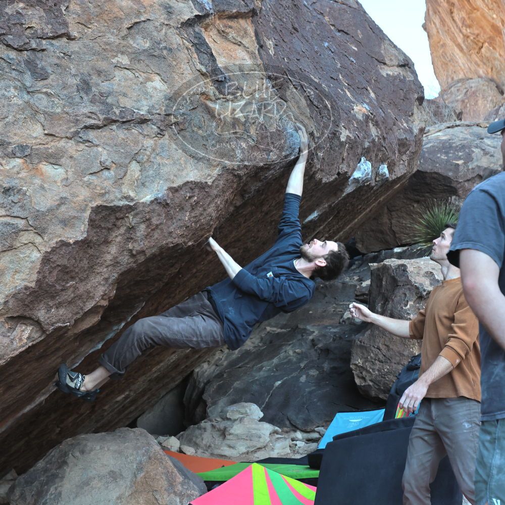 Filename: SRM_20230114_1005480.jpg
Aperture: f/5.6
Shutter Speed: 1/640
Body: Canon EOS R6
Lens: Canon EF 16-35mm f/2.8 L