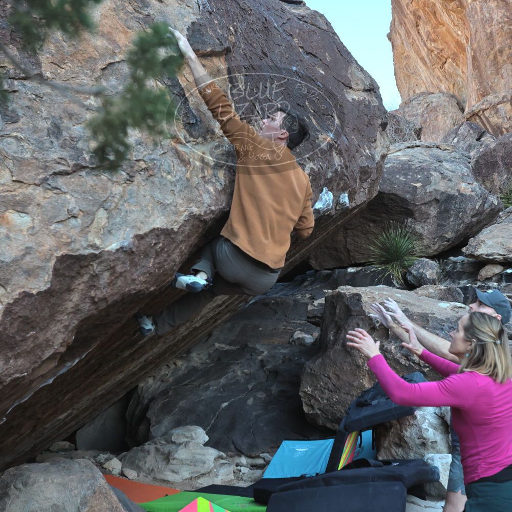 

Filename: SRM_20230114_1007431.jpg
Aperture: f/5.6
Shutter Speed: 1/640
Body: Canon EOS R6
Lens: Canon EF 16-35mm f/2.8 L