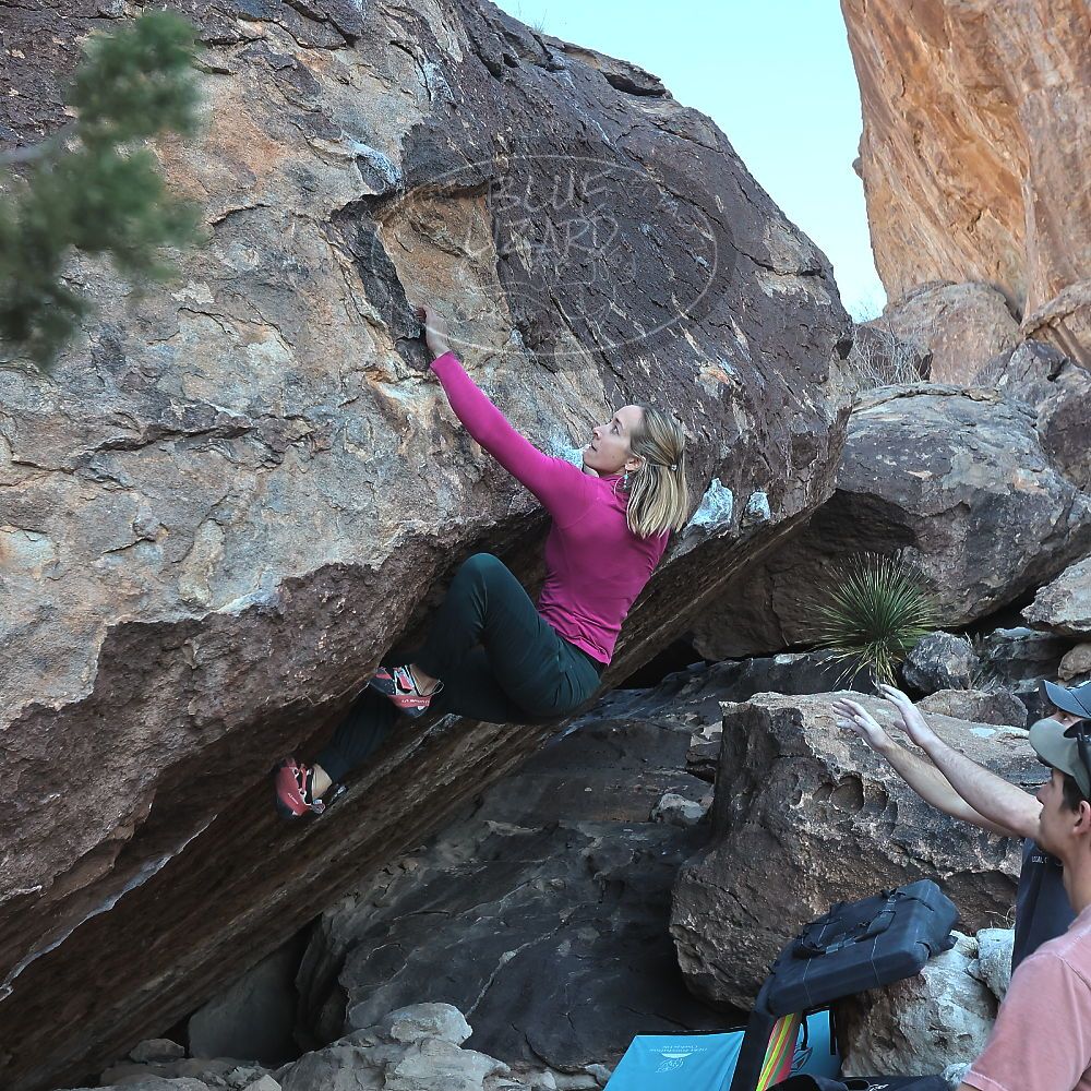 

Filename: SRM_20230114_1009320.jpg
Aperture: f/5.6
Shutter Speed: 1/640
Body: Canon EOS R6
Lens: Canon EF 16-35mm f/2.8 L