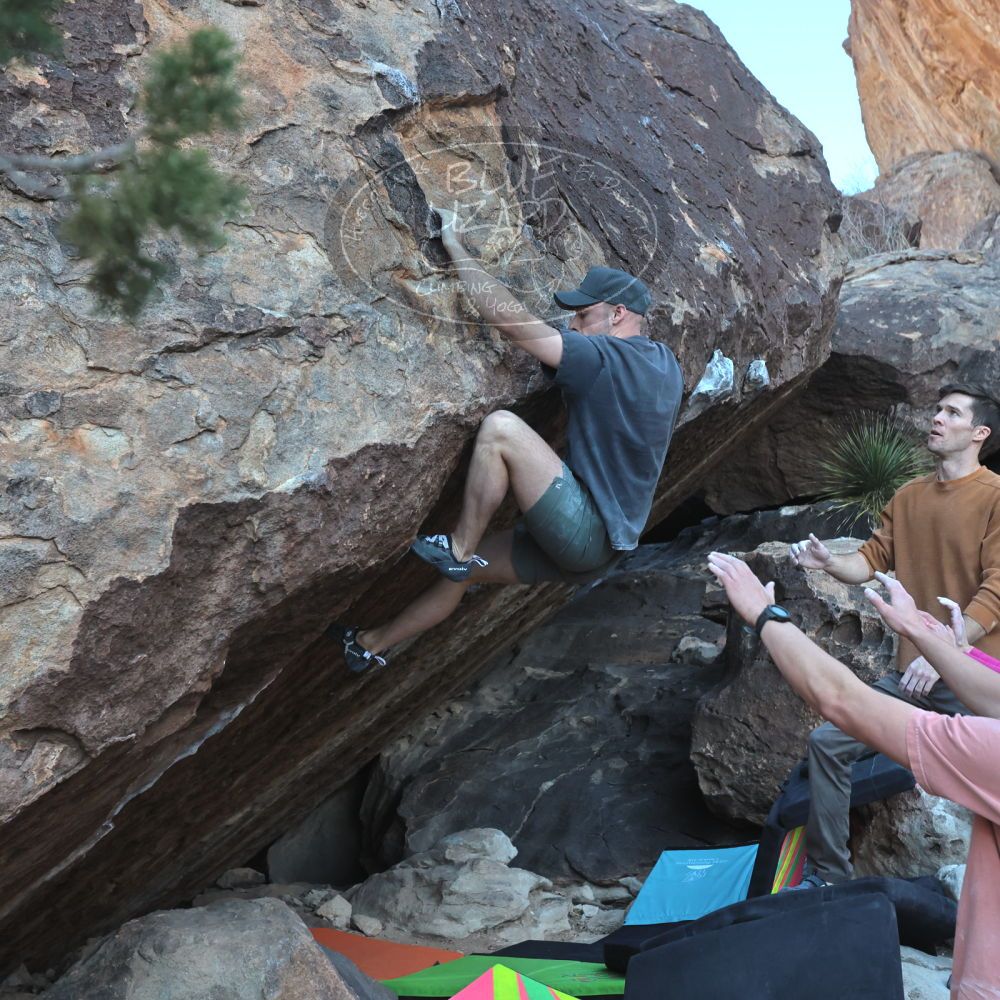 

Filename: SRM_20230114_1010430.jpg
Aperture: f/5.6
Shutter Speed: 1/640
Body: Canon EOS R6
Lens: Canon EF 16-35mm f/2.8 L