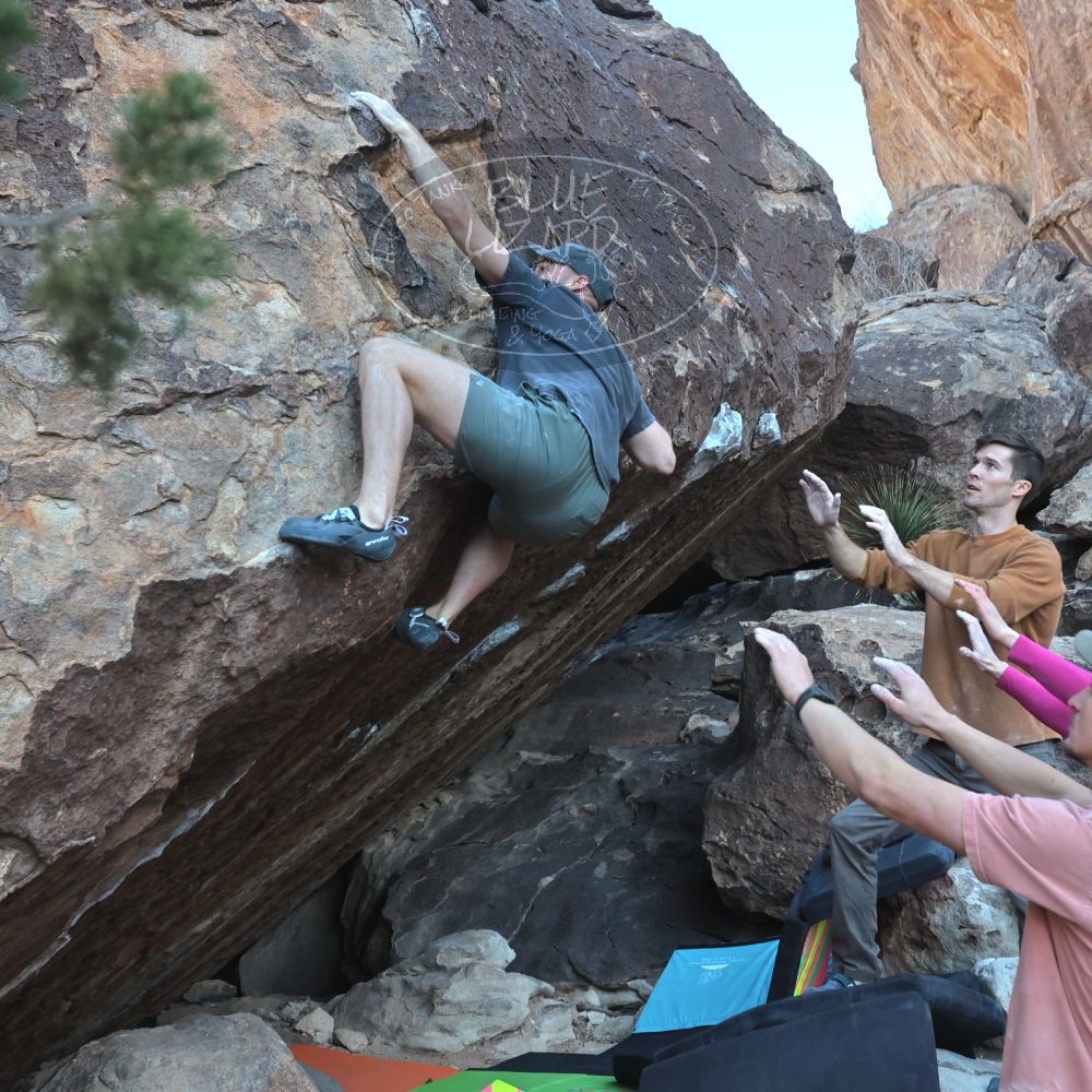 

Filename: SRM_20230114_1010490.jpg
Aperture: f/5.6
Shutter Speed: 1/640
Body: Canon EOS R6
Lens: Canon EF 16-35mm f/2.8 L