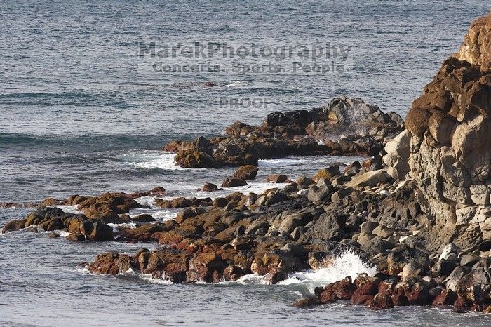 Surfers in Honolua Bay, Maui, Hawai'i, 2007.

Filename: SRM_20071217_1617095.jpg
Aperture: f/5.6
Shutter Speed: 1/1250
Body: Canon EOS 20D
Lens: Canon EF 300mm f/2.8 L IS