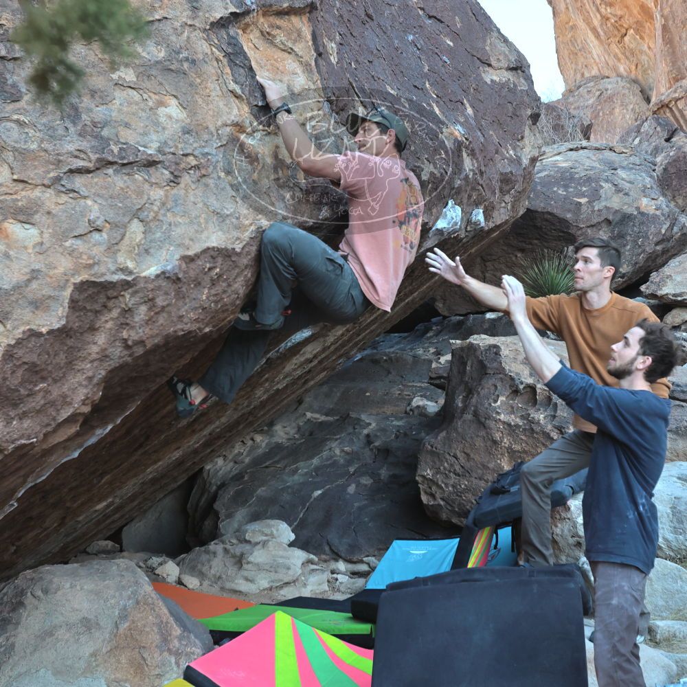 Filename: SRM_20230114_1012340.jpg
Aperture: f/5.6
Shutter Speed: 1/640
Body: Canon EOS R6
Lens: Canon EF 16-35mm f/2.8 L