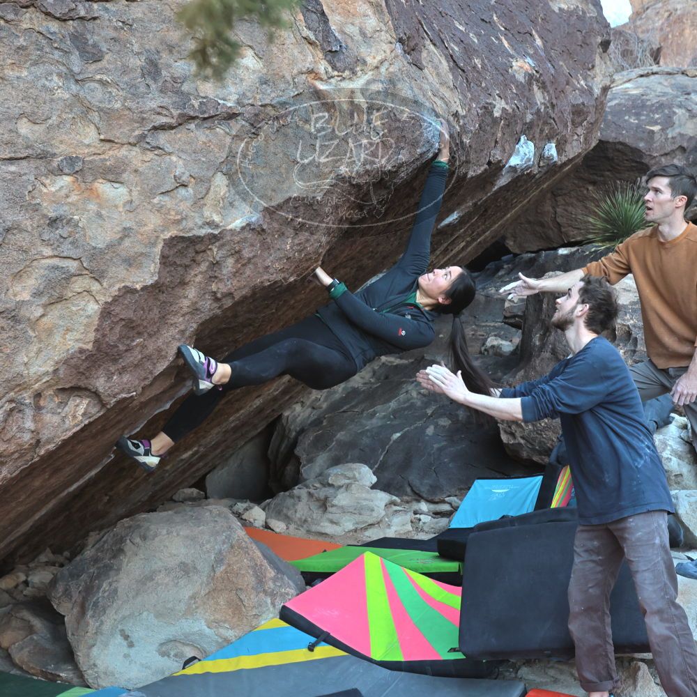 Filename: SRM_20230114_1013480.jpg
Aperture: f/5.6
Shutter Speed: 1/640
Body: Canon EOS R6
Lens: Canon EF 16-35mm f/2.8 L