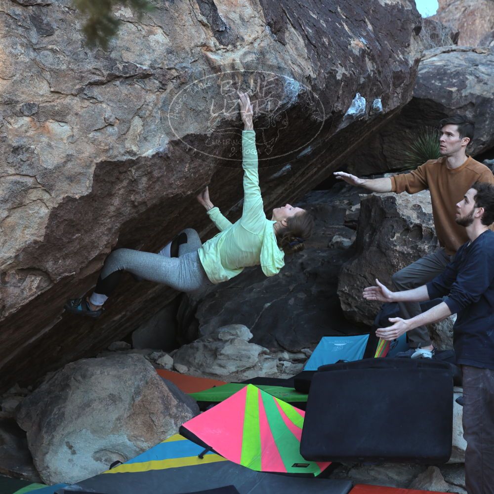 

Filename: SRM_20230114_1015270.jpg
Aperture: f/5.6
Shutter Speed: 1/640
Body: Canon EOS R6
Lens: Canon EF 16-35mm f/2.8 L