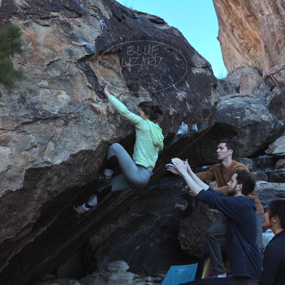 

Filename: SRM_20230114_1016110.jpg
Aperture: f/5.6
Shutter Speed: 1/640
Body: Canon EOS R6
Lens: Canon EF 16-35mm f/2.8 L