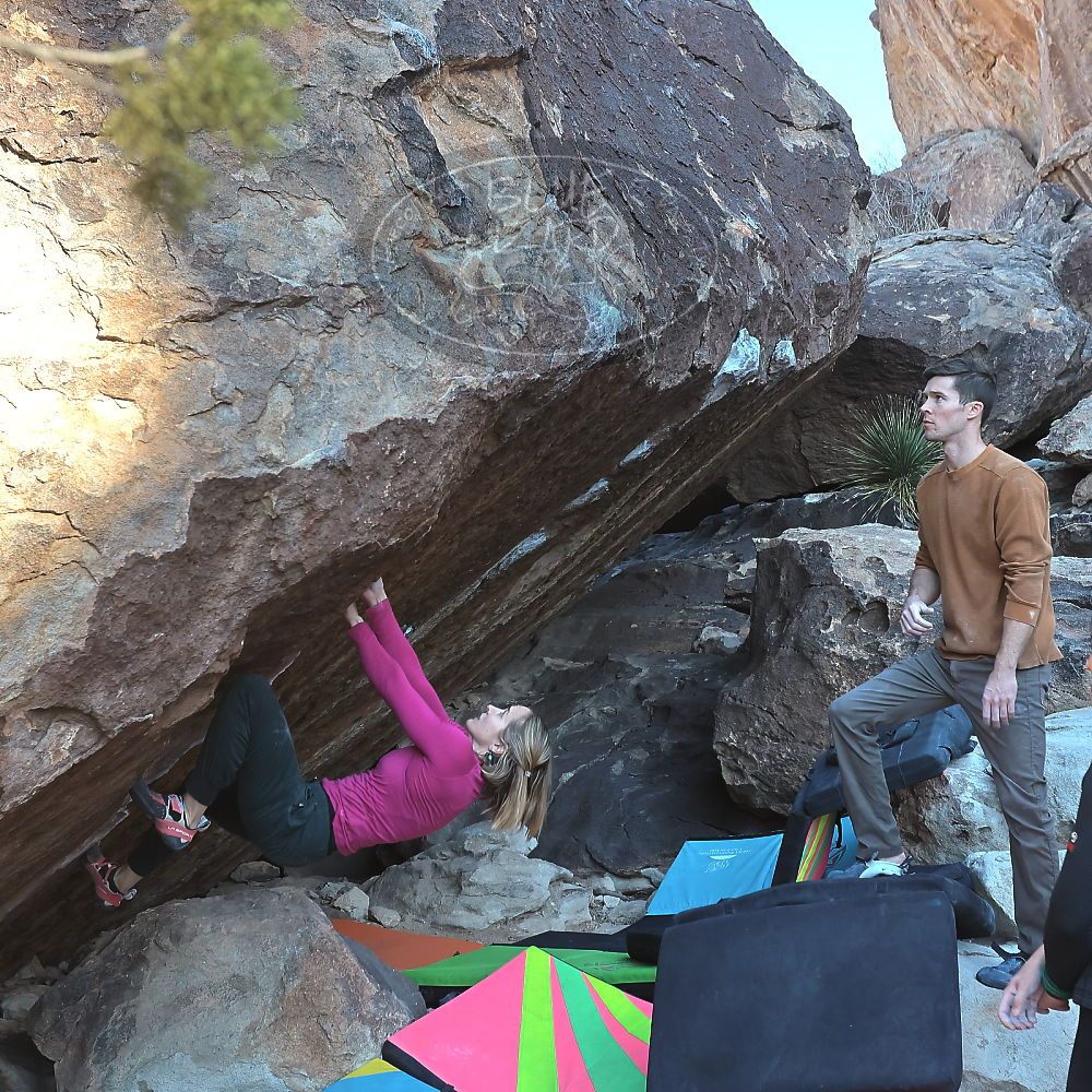 

Filename: SRM_20230114_1017110.jpg
Aperture: f/5.6
Shutter Speed: 1/640
Body: Canon EOS R6
Lens: Canon EF 16-35mm f/2.8 L