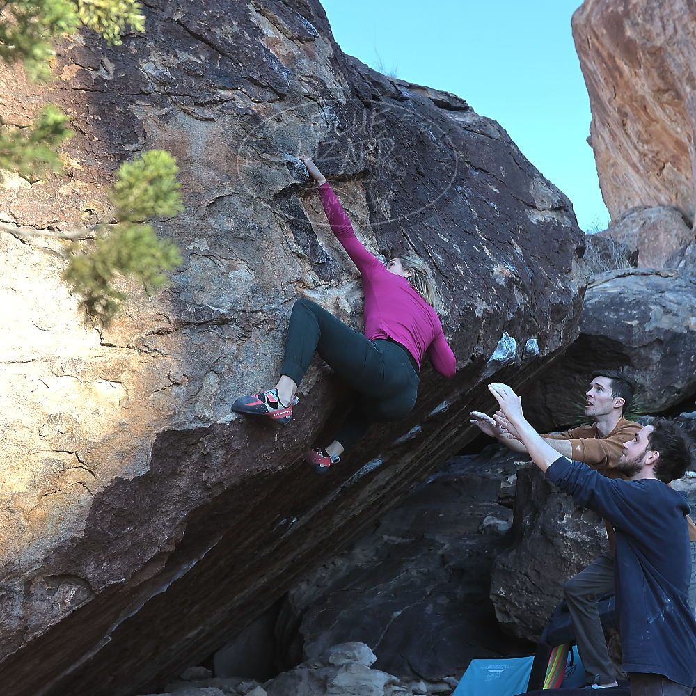 Filename: SRM_20230114_1017290.jpg
Aperture: f/5.6
Shutter Speed: 1/640
Body: Canon EOS R6
Lens: Canon EF 16-35mm f/2.8 L