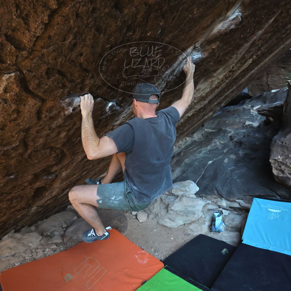 

Filename: SRM_20230114_1027541.jpg
Aperture: f/8.0
Shutter Speed: 1/1250
Body: Canon EOS R6
Lens: Canon EF 16-35mm f/2.8 L