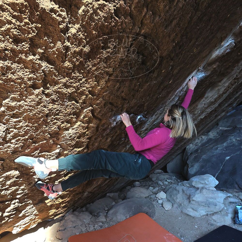 

Filename: SRM_20230114_1028440.jpg
Aperture: f/8.0
Shutter Speed: 1/1250
Body: Canon EOS R6
Lens: Canon EF 16-35mm f/2.8 L