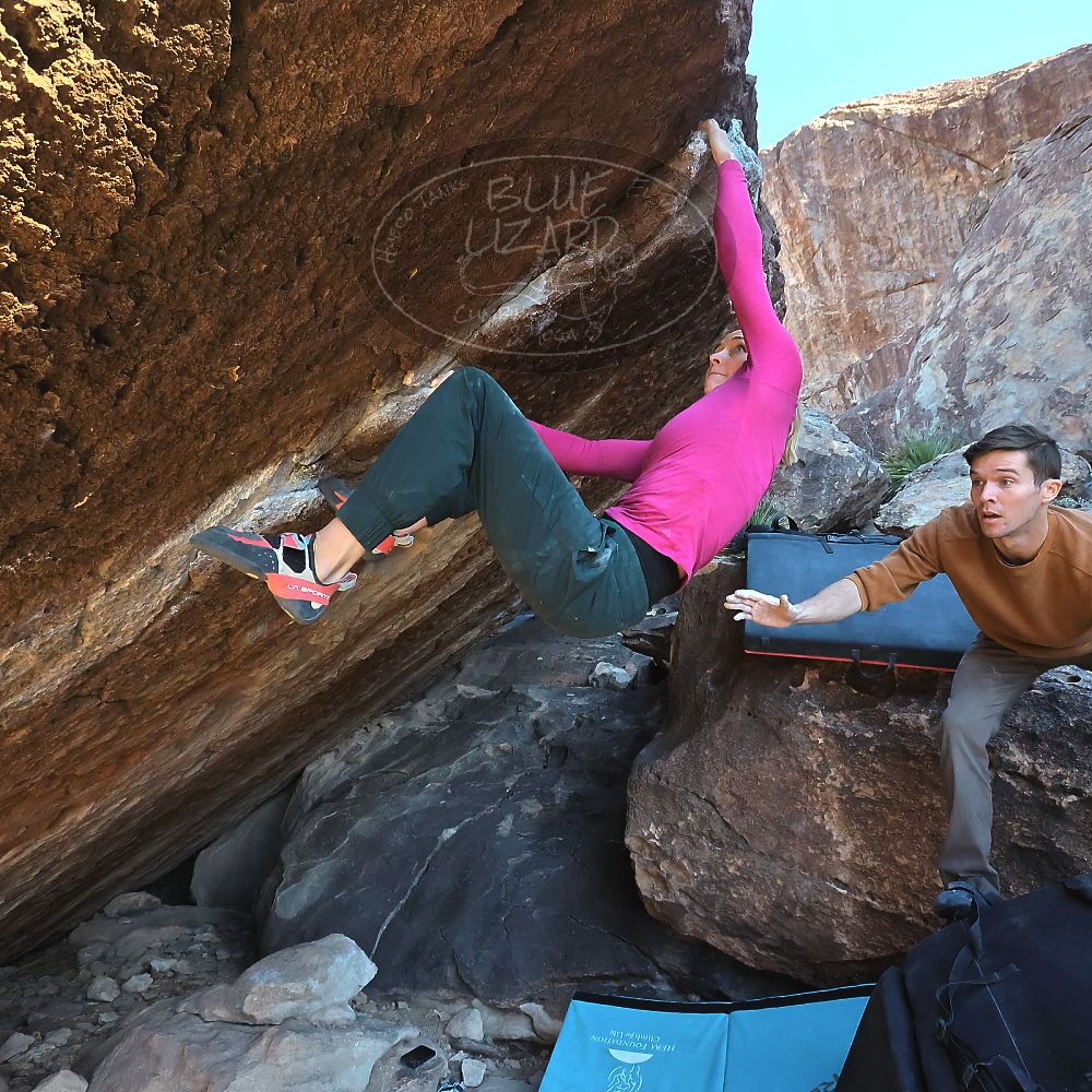 

Filename: SRM_20230114_1031400.jpg
Aperture: f/8.0
Shutter Speed: 1/1250
Body: Canon EOS R6
Lens: Canon EF 16-35mm f/2.8 L