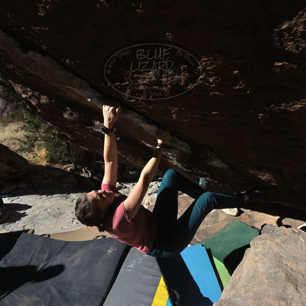 

Filename: SRM_20230114_1044540.jpg
Aperture: f/8.0
Shutter Speed: 1/1250
Body: Canon EOS R6
Lens: Canon EF 16-35mm f/2.8 L