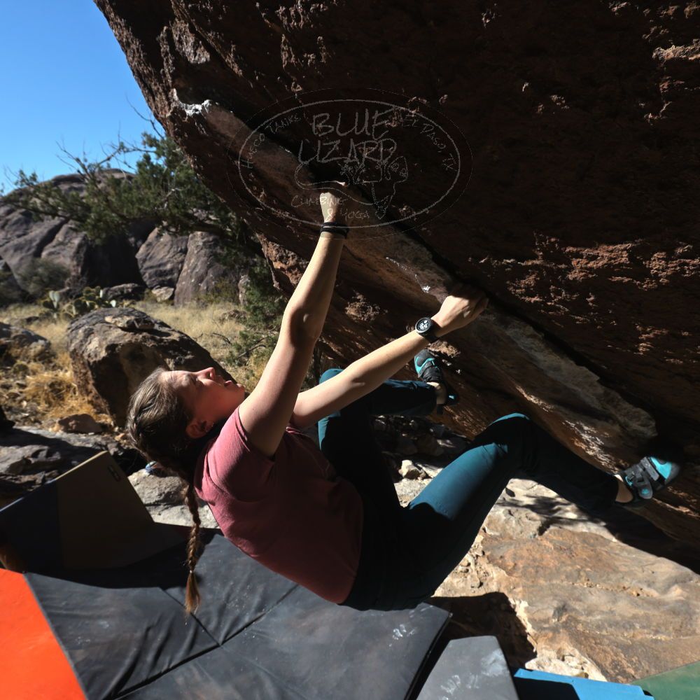 

Filename: SRM_20230114_1045010.jpg
Aperture: f/8.0
Shutter Speed: 1/1250
Body: Canon EOS R6
Lens: Canon EF 16-35mm f/2.8 L