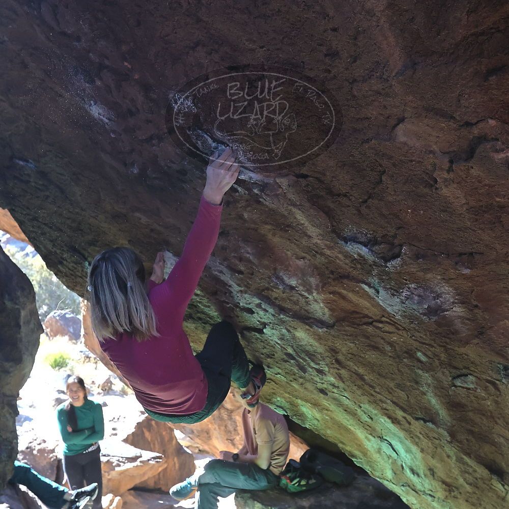 Filename: SRM_20230114_1133132.jpg
Aperture: f/8.0
Shutter Speed: 1/1250
Body: Canon EOS R6
Lens: Canon EF 16-35mm f/2.8 L