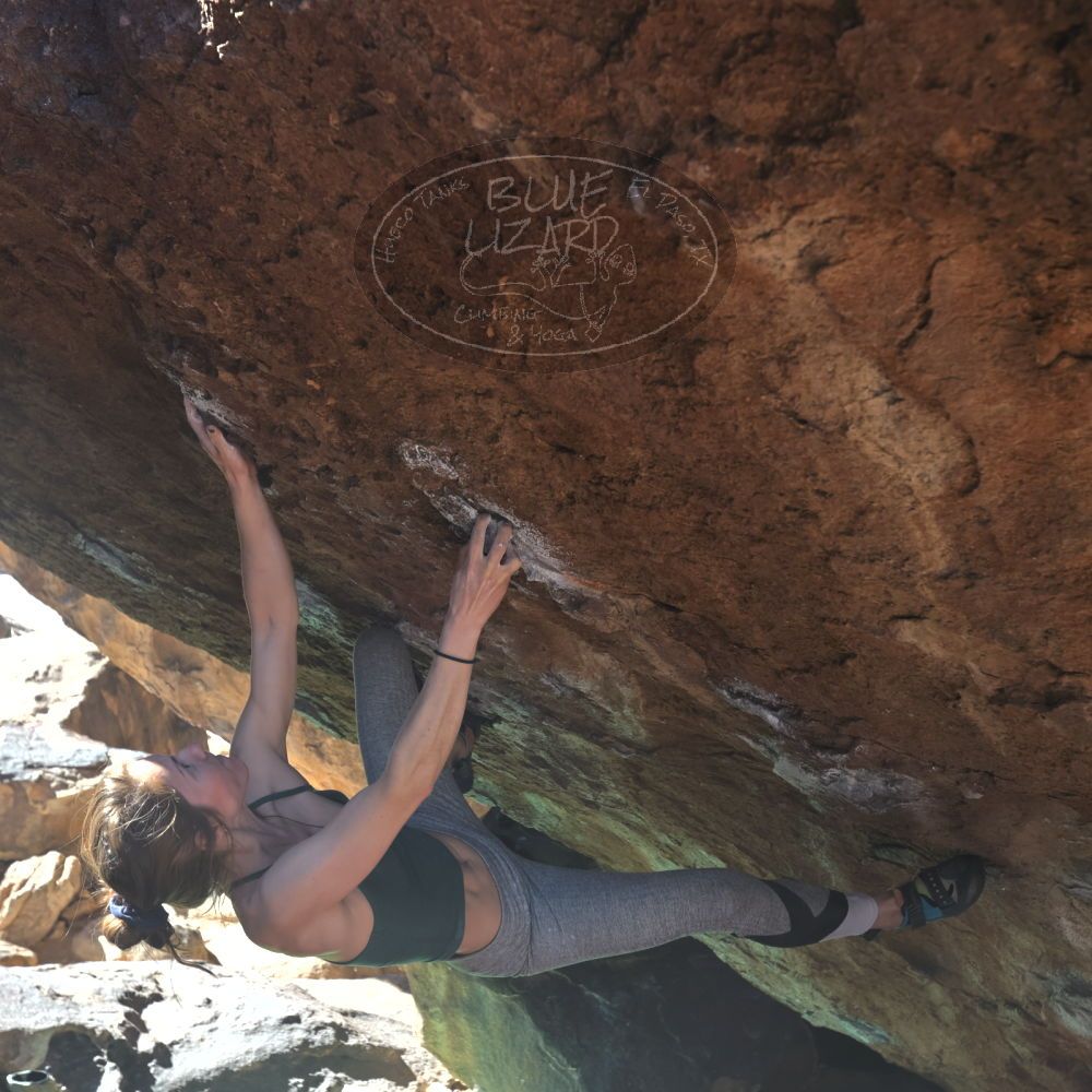 

Filename: SRM_20230114_1144330.jpg
Aperture: f/5.6
Shutter Speed: 1/320
Body: Canon EOS R6
Lens: Canon EF 16-35mm f/2.8 L