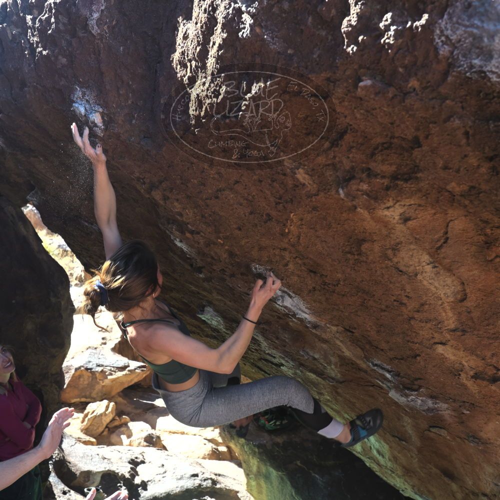 

Filename: SRM_20230114_1144540.jpg
Aperture: f/5.6
Shutter Speed: 1/320
Body: Canon EOS R6
Lens: Canon EF 16-35mm f/2.8 L