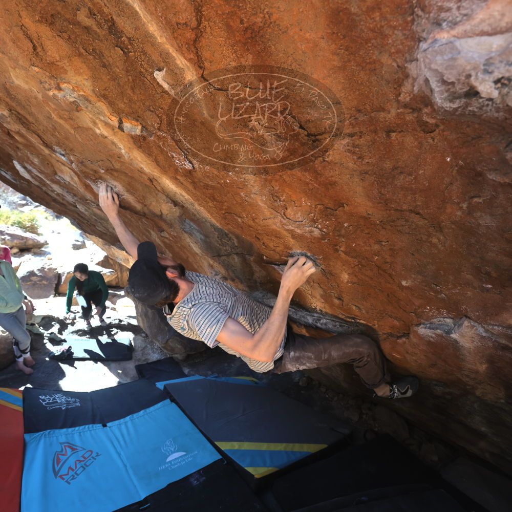 

Filename: SRM_20230114_1208130.jpg
Aperture: f/5.6
Shutter Speed: 1/320
Body: Canon EOS R6
Lens: Canon EF 16-35mm f/2.8 L