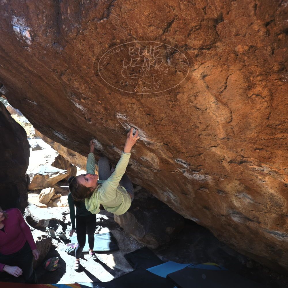 

Filename: SRM_20230114_1211380.jpg
Aperture: f/5.6
Shutter Speed: 1/320
Body: Canon EOS R6
Lens: Canon EF 16-35mm f/2.8 L