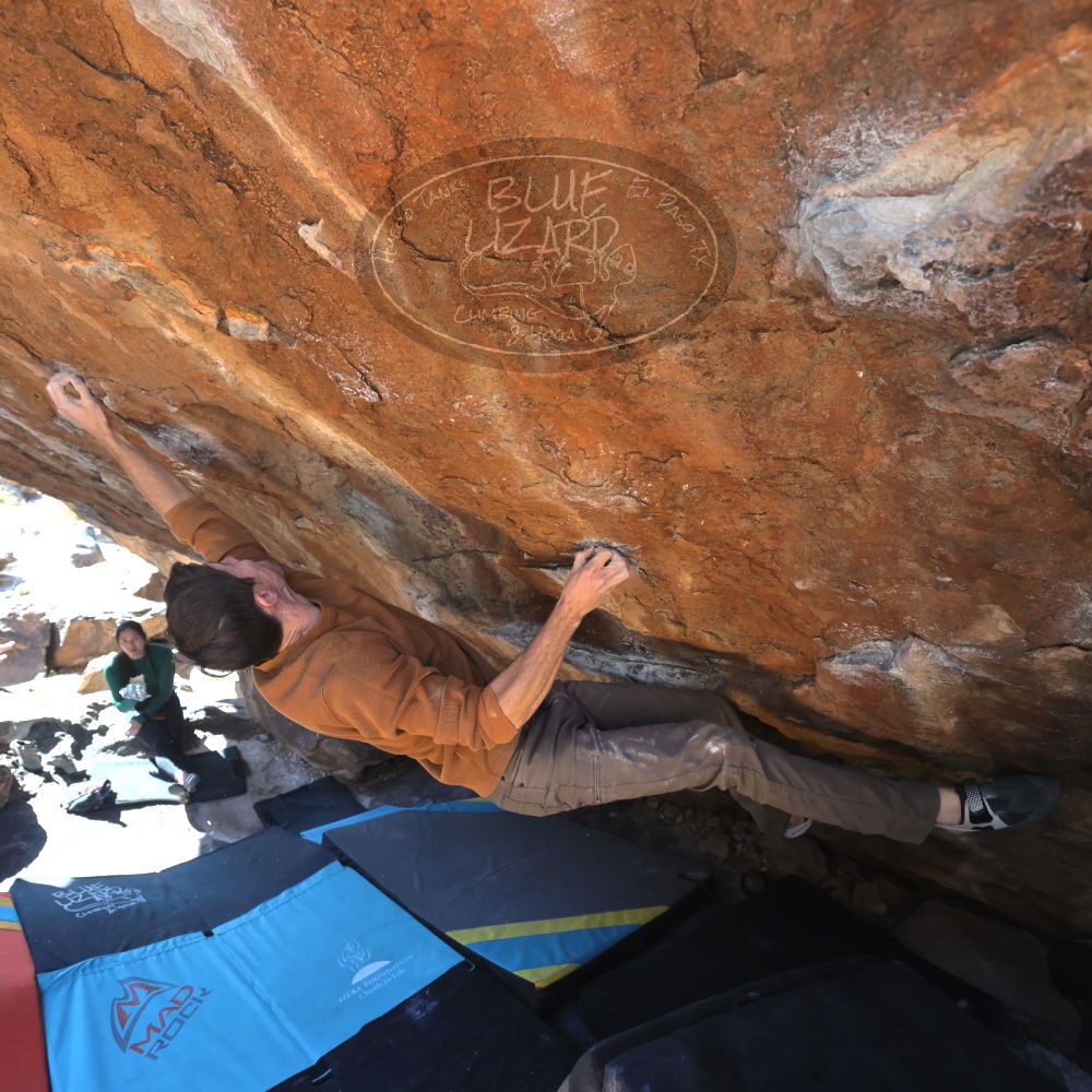 Filename: SRM_20230114_1213120.jpg
Aperture: f/5.6
Shutter Speed: 1/320
Body: Canon EOS R6
Lens: Canon EF 16-35mm f/2.8 L