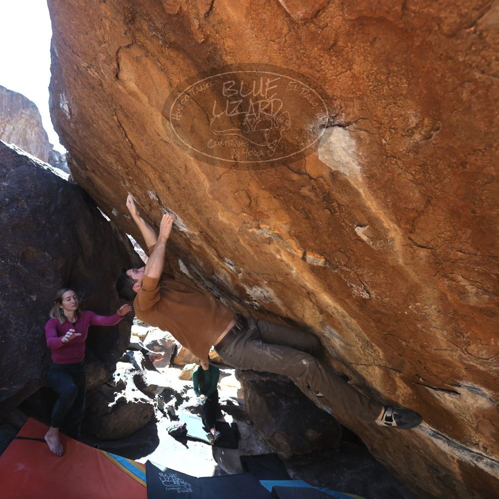 

Filename: SRM_20230114_1213200.jpg
Aperture: f/5.6
Shutter Speed: 1/320
Body: Canon EOS R6
Lens: Canon EF 16-35mm f/2.8 L