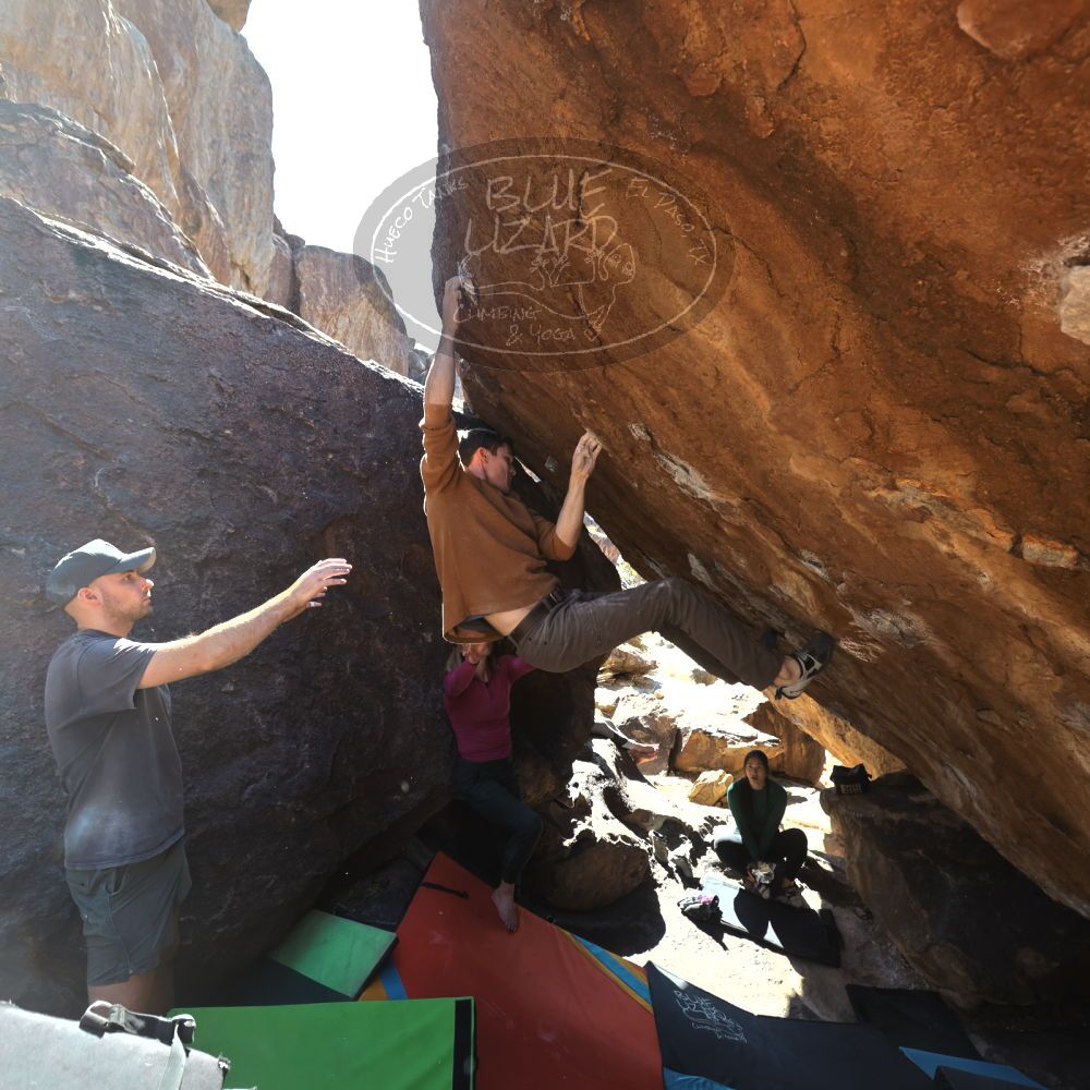 Filename: SRM_20230114_1213260.jpg
Aperture: f/5.6
Shutter Speed: 1/320
Body: Canon EOS R6
Lens: Canon EF 16-35mm f/2.8 L