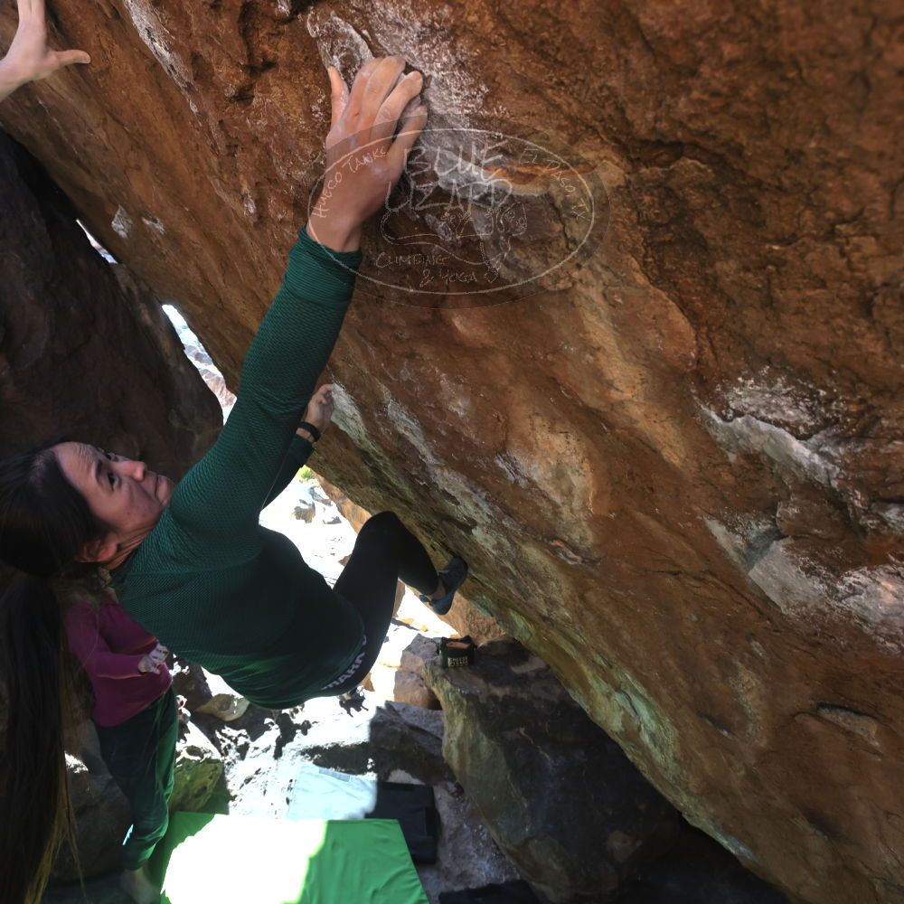 Filename: SRM_20230114_1226111.jpg
Aperture: f/5.6
Shutter Speed: 1/320
Body: Canon EOS R6
Lens: Canon EF 16-35mm f/2.8 L