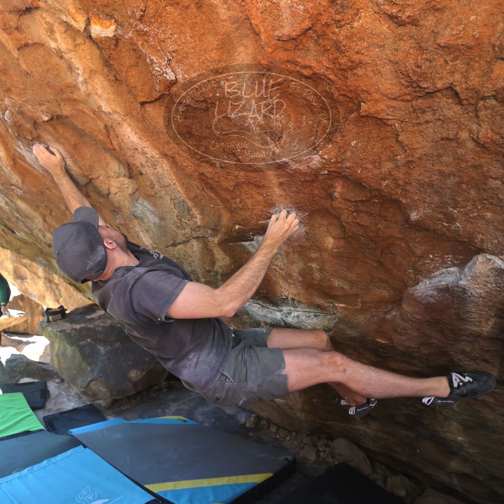 

Filename: SRM_20230114_1227120.jpg
Aperture: f/5.6
Shutter Speed: 1/320
Body: Canon EOS R6
Lens: Canon EF 16-35mm f/2.8 L