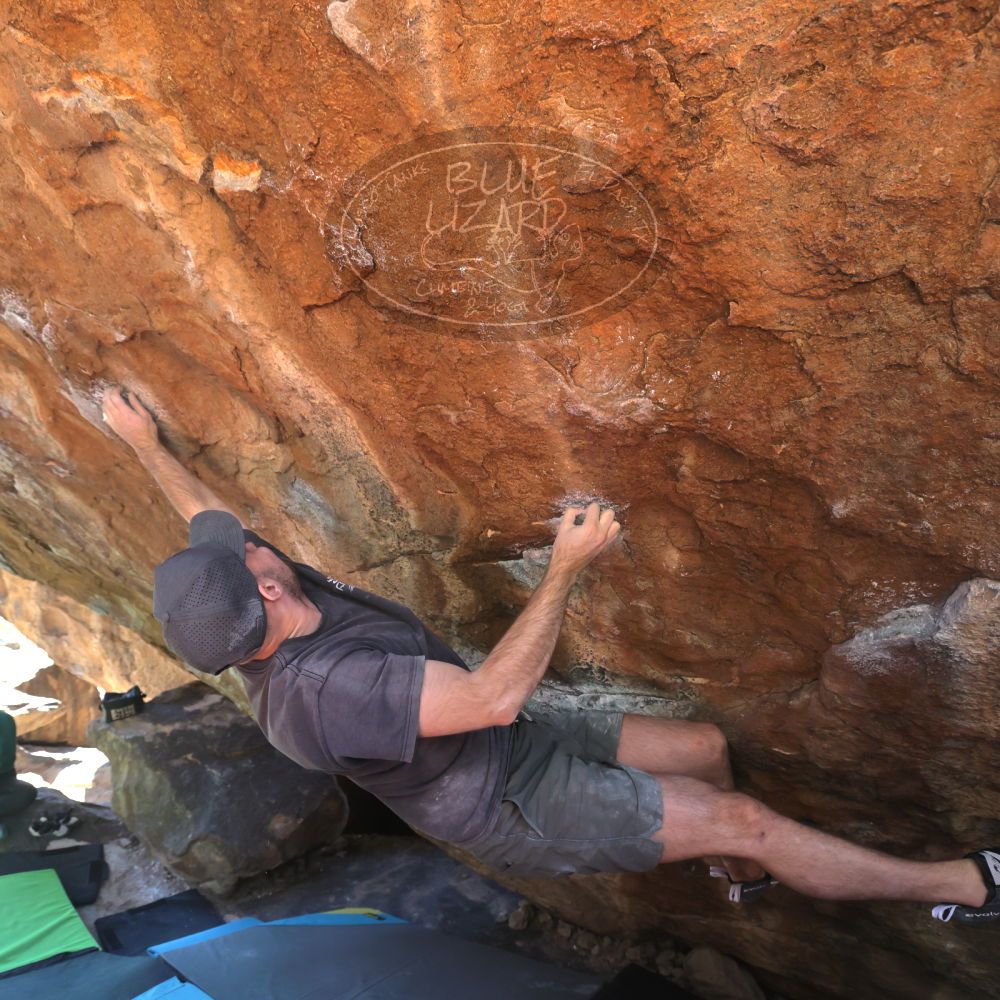 Filename: SRM_20230114_1230010.jpg
Aperture: f/5.6
Shutter Speed: 1/320
Body: Canon EOS R6
Lens: Canon EF 16-35mm f/2.8 L