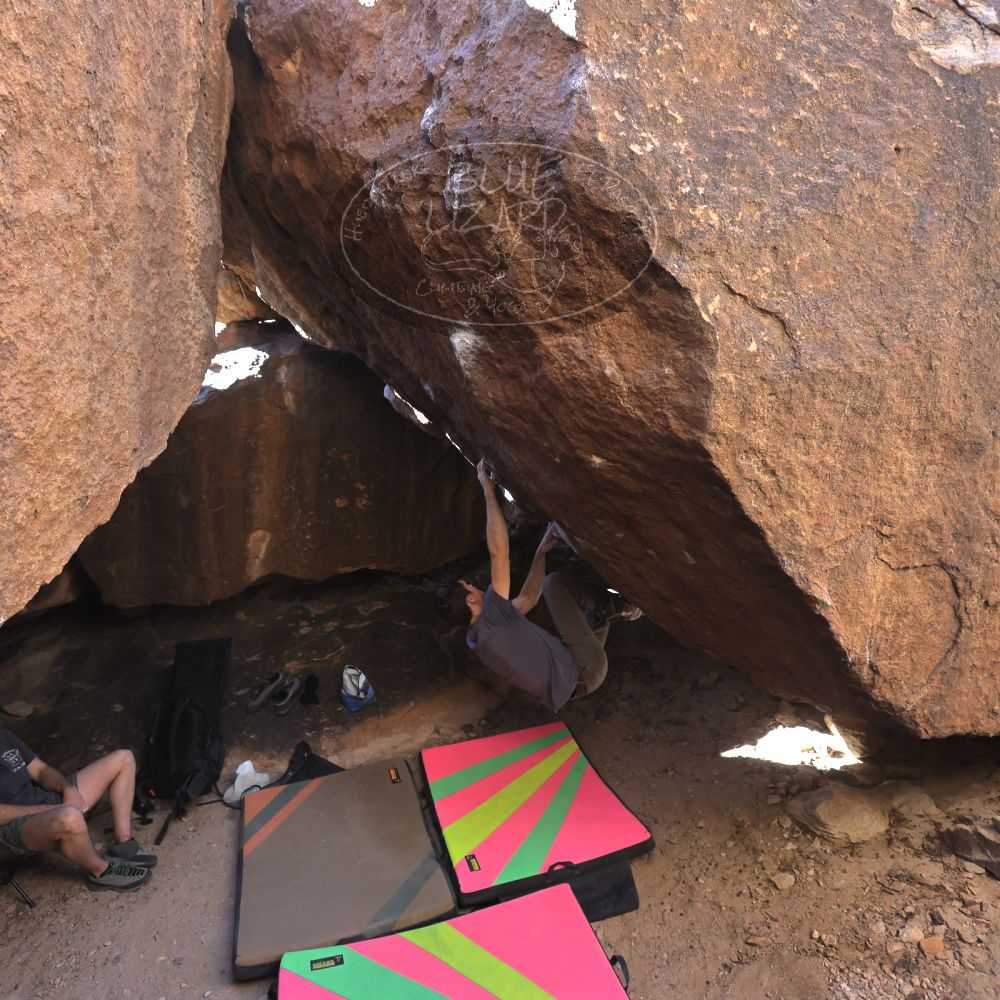 

Filename: SRM_20230114_1324310.jpg
Aperture: f/5.6
Shutter Speed: 1/320
Body: Canon EOS R6
Lens: Canon EF 16-35mm f/2.8 L