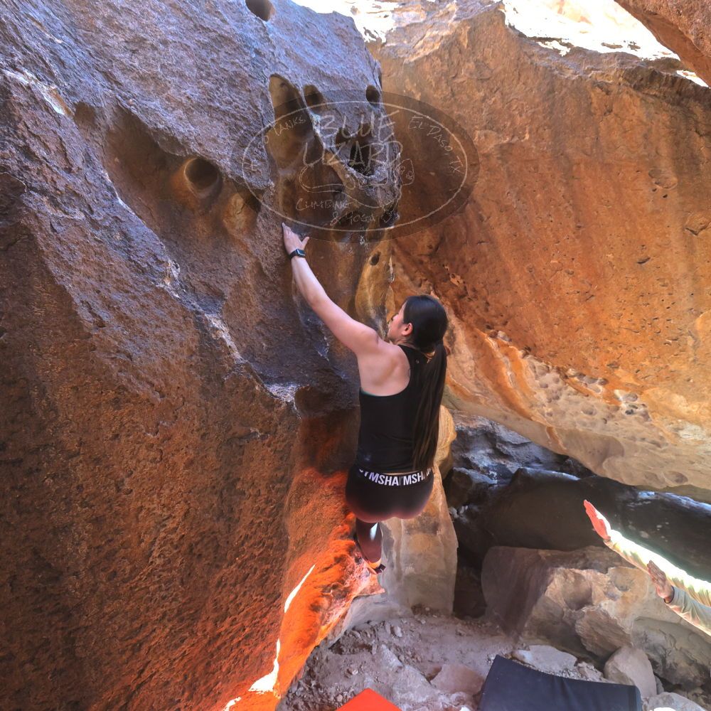 

Filename: SRM_20230114_1334170.jpg
Aperture: f/5.6
Shutter Speed: 1/320
Body: Canon EOS R6
Lens: Canon EF 16-35mm f/2.8 L