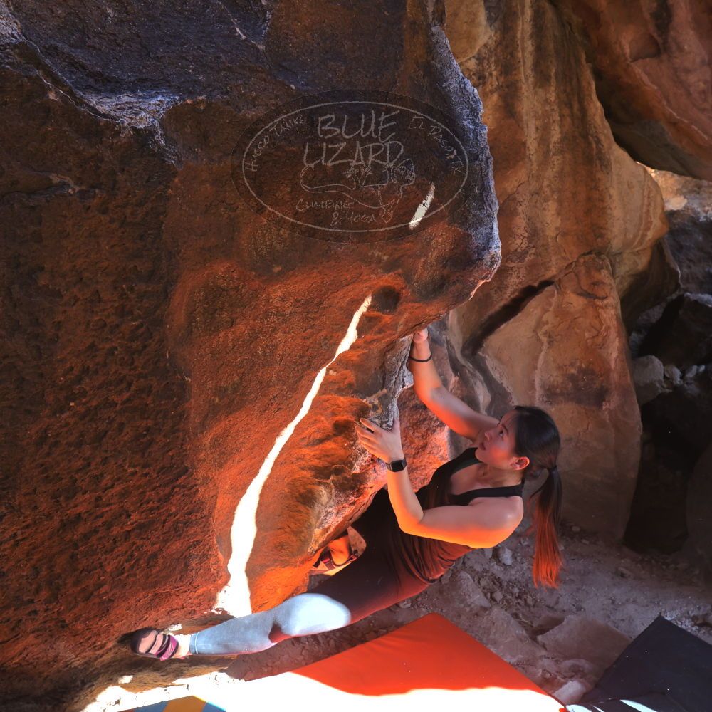 

Filename: SRM_20230114_1342540.jpg
Aperture: f/5.6
Shutter Speed: 1/320
Body: Canon EOS R6
Lens: Canon EF 16-35mm f/2.8 L