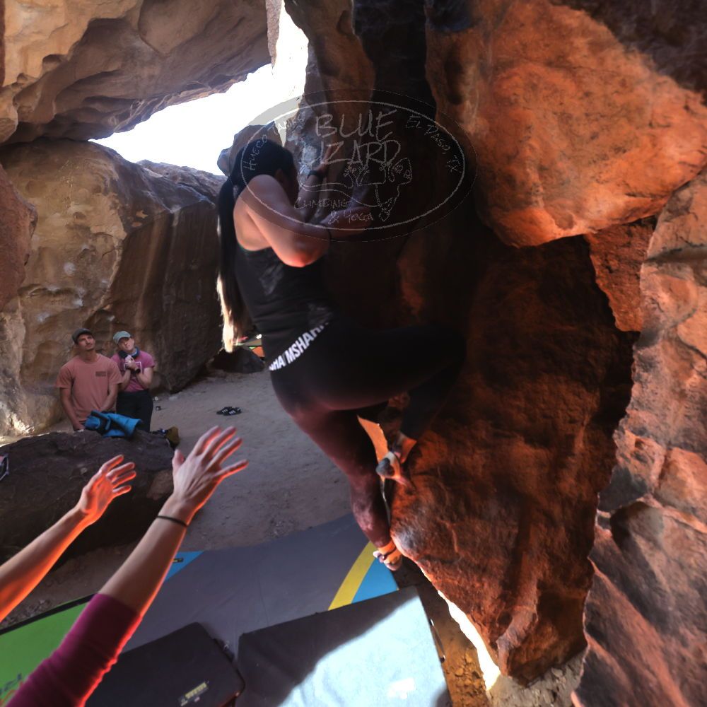 

Filename: SRM_20230114_1354020.jpg
Aperture: f/5.6
Shutter Speed: 1/500
Body: Canon EOS R6
Lens: Canon EF 16-35mm f/2.8 L