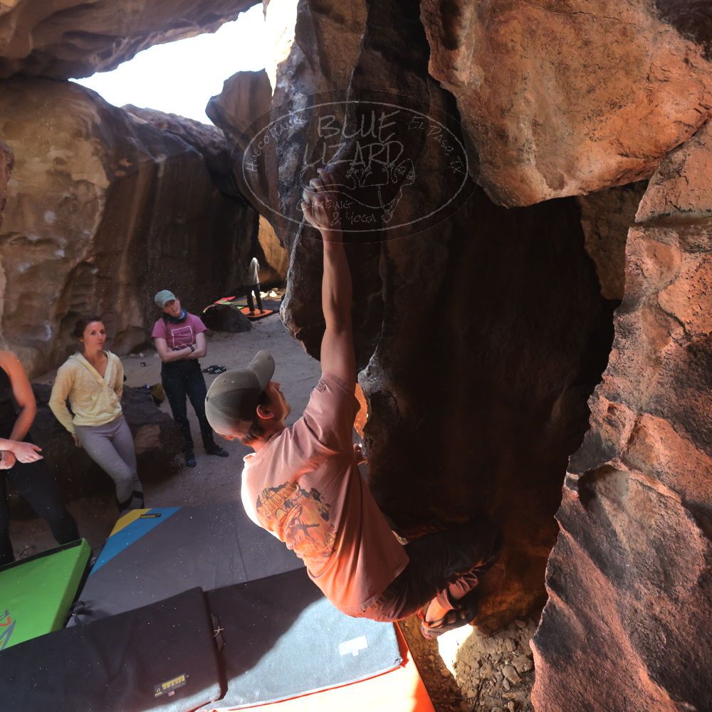 

Filename: SRM_20230114_1357090.jpg
Aperture: f/5.6
Shutter Speed: 1/500
Body: Canon EOS R6
Lens: Canon EF 16-35mm f/2.8 L