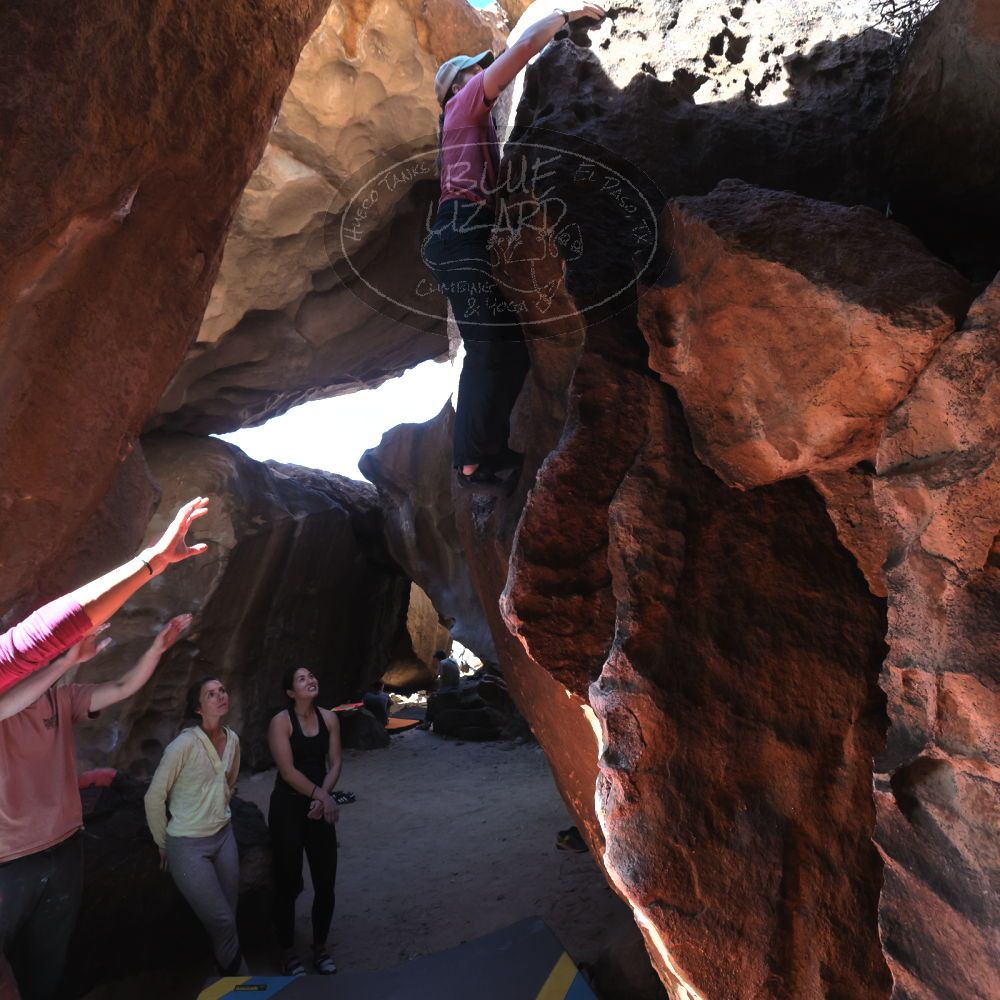 Filename: SRM_20230114_1358590.jpg
Aperture: f/5.6
Shutter Speed: 1/500
Body: Canon EOS R6
Lens: Canon EF 16-35mm f/2.8 L