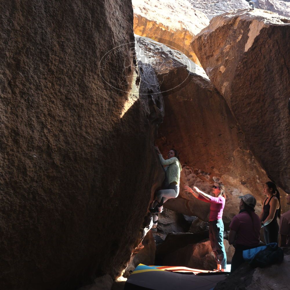 

Filename: SRM_20230114_1402110.jpg
Aperture: f/5.6
Shutter Speed: 1/500
Body: Canon EOS R6
Lens: Canon EF 16-35mm f/2.8 L