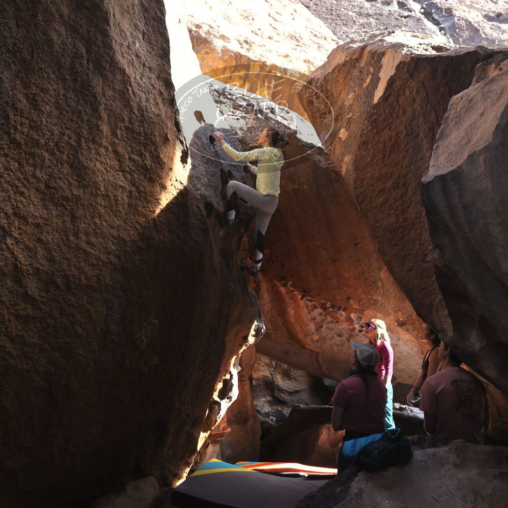 

Filename: SRM_20230114_1402460.jpg
Aperture: f/5.6
Shutter Speed: 1/500
Body: Canon EOS R6
Lens: Canon EF 16-35mm f/2.8 L