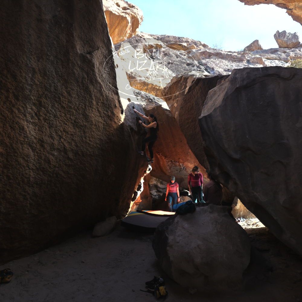 

Filename: SRM_20230114_1406240.jpg
Aperture: f/5.6
Shutter Speed: 1/500
Body: Canon EOS R6
Lens: Canon EF 16-35mm f/2.8 L