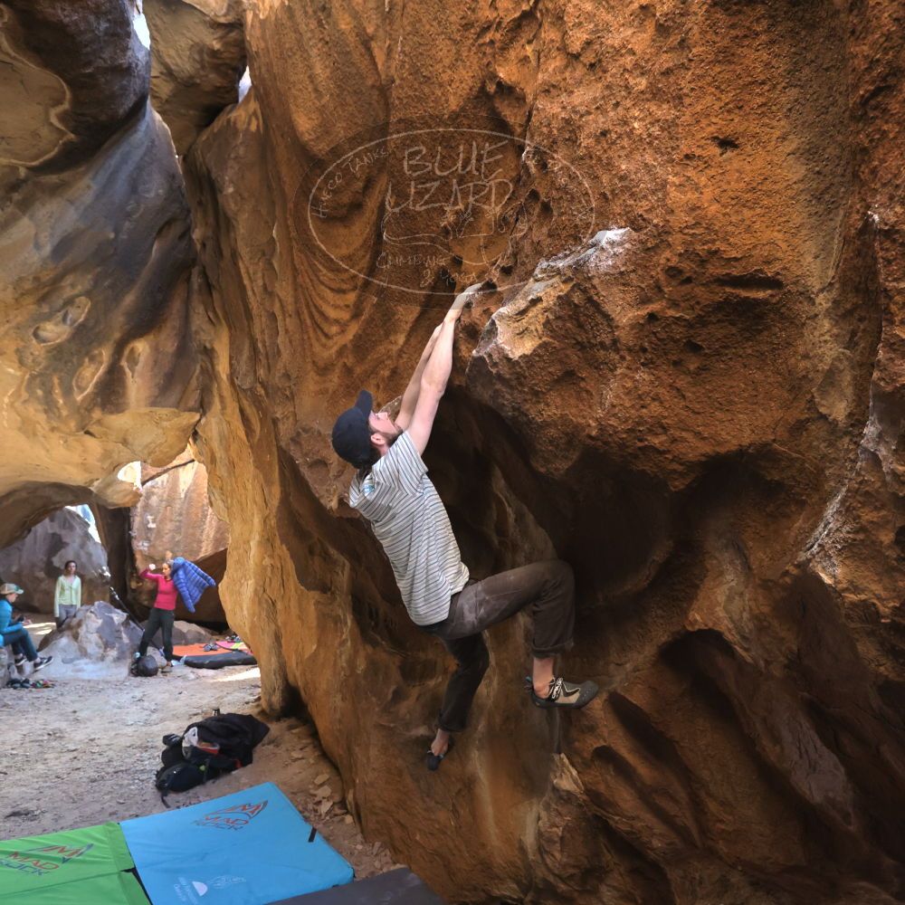 Filename: SRM_20230114_1434010.jpg
Aperture: f/5.6
Shutter Speed: 1/500
Body: Canon EOS R6
Lens: Canon EF 16-35mm f/2.8 L