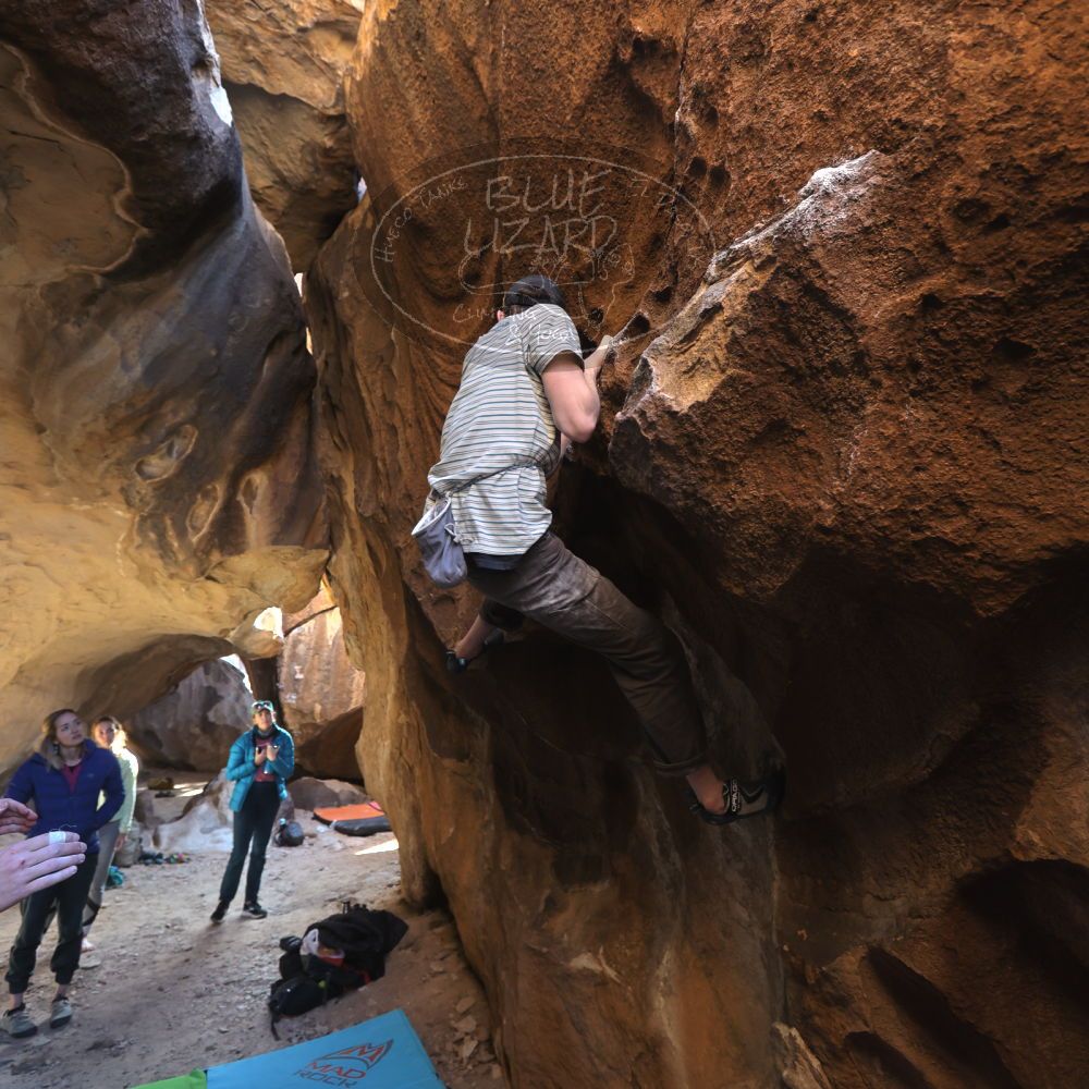 

Filename: SRM_20230114_1437100.jpg
Aperture: f/4.0
Shutter Speed: 1/250
Body: Canon EOS R6
Lens: Canon EF 16-35mm f/2.8 L