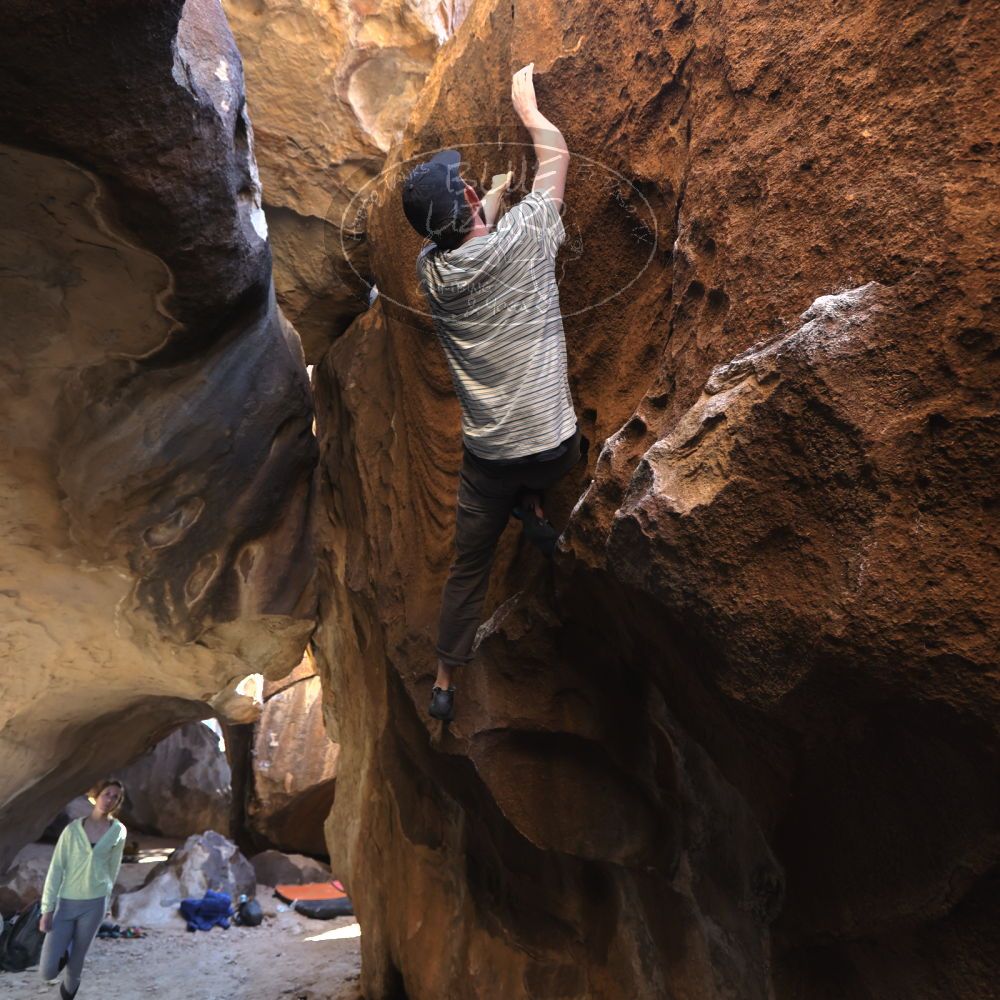 Filename: SRM_20230114_1440130.jpg
Aperture: f/4.0
Shutter Speed: 1/250
Body: Canon EOS R6
Lens: Canon EF 16-35mm f/2.8 L