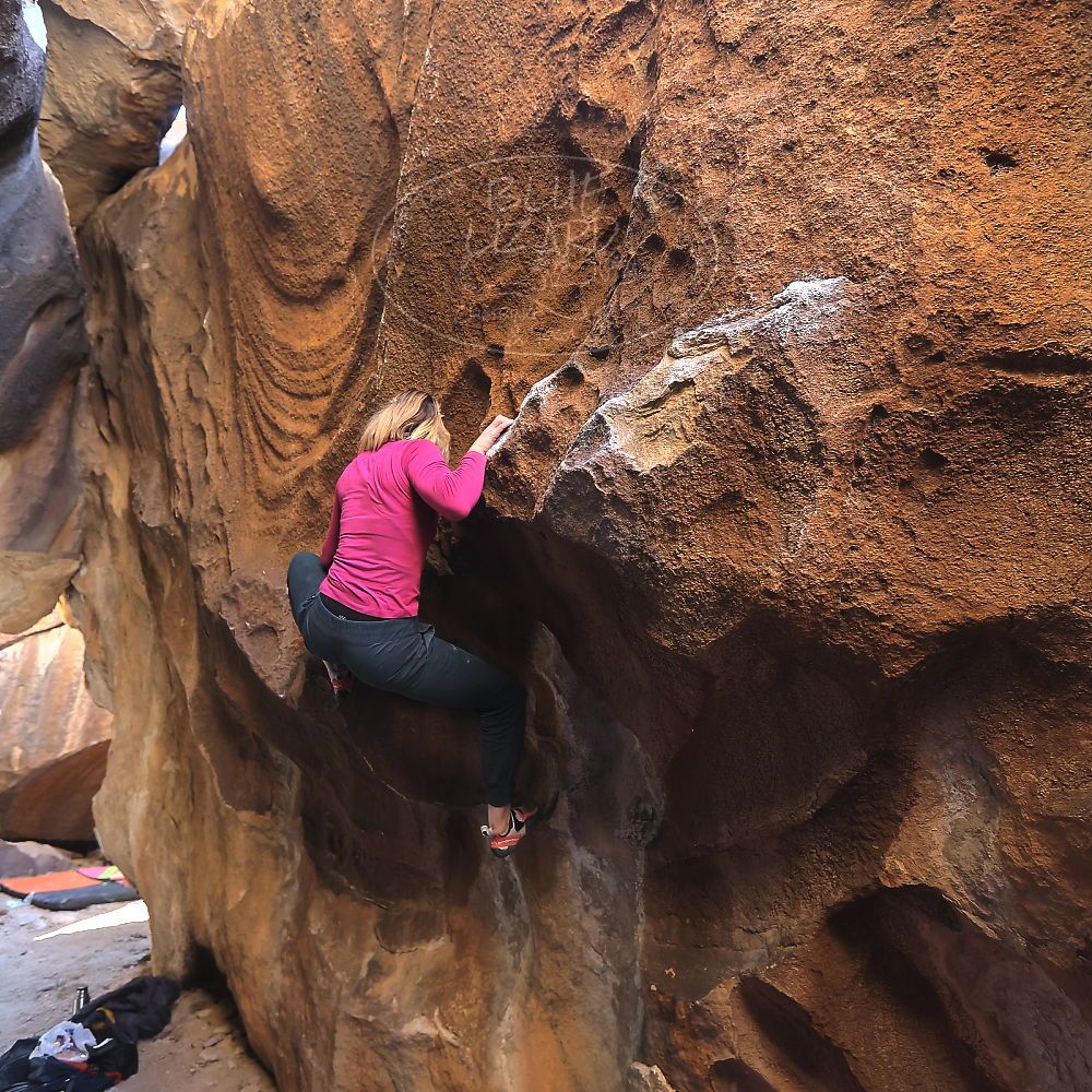 

Filename: SRM_20230114_1443120.jpg
Aperture: f/4.0
Shutter Speed: 1/250
Body: Canon EOS R6
Lens: Canon EF 16-35mm f/2.8 L