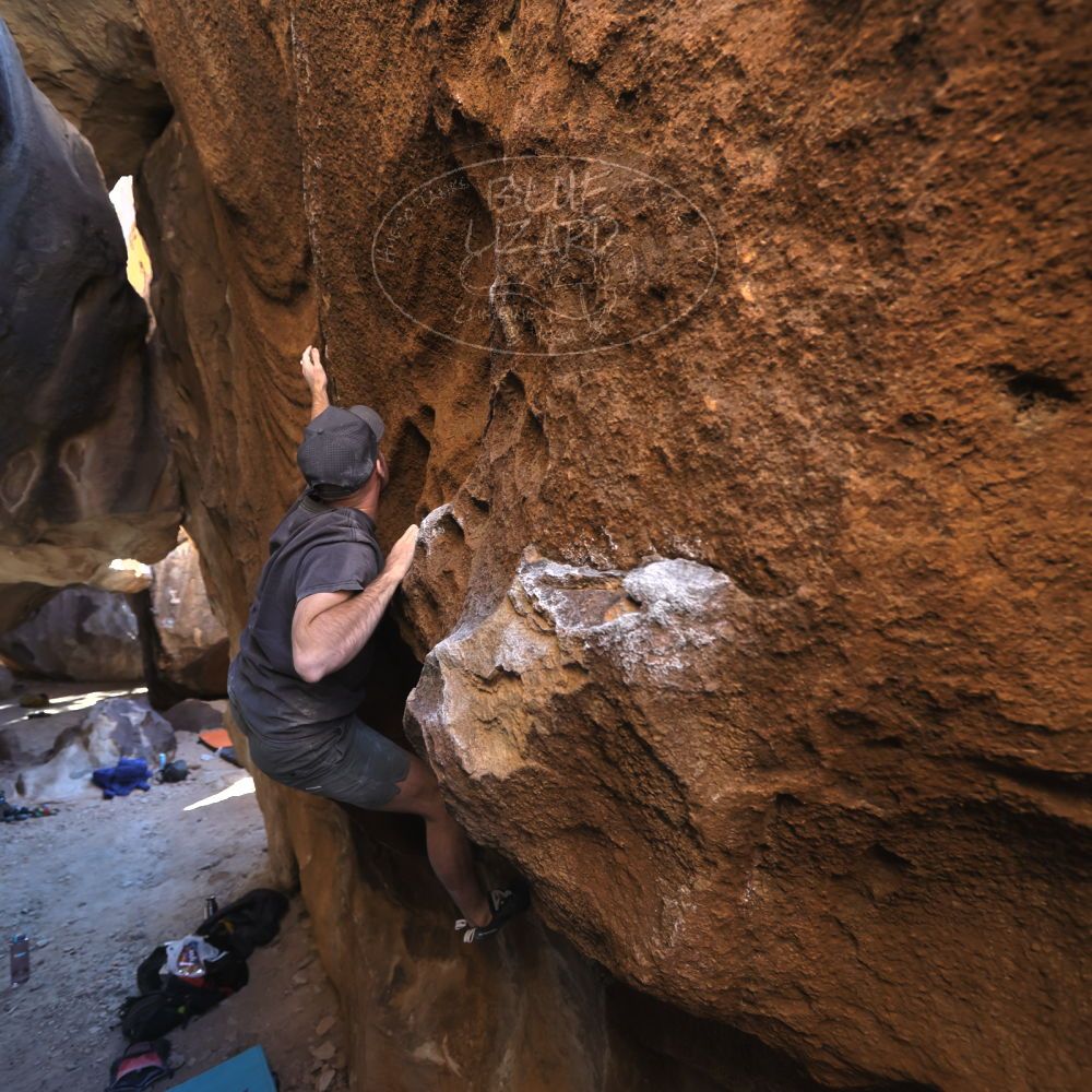 Filename: SRM_20230114_1448500.jpg
Aperture: f/4.0
Shutter Speed: 1/250
Body: Canon EOS R6
Lens: Canon EF 16-35mm f/2.8 L