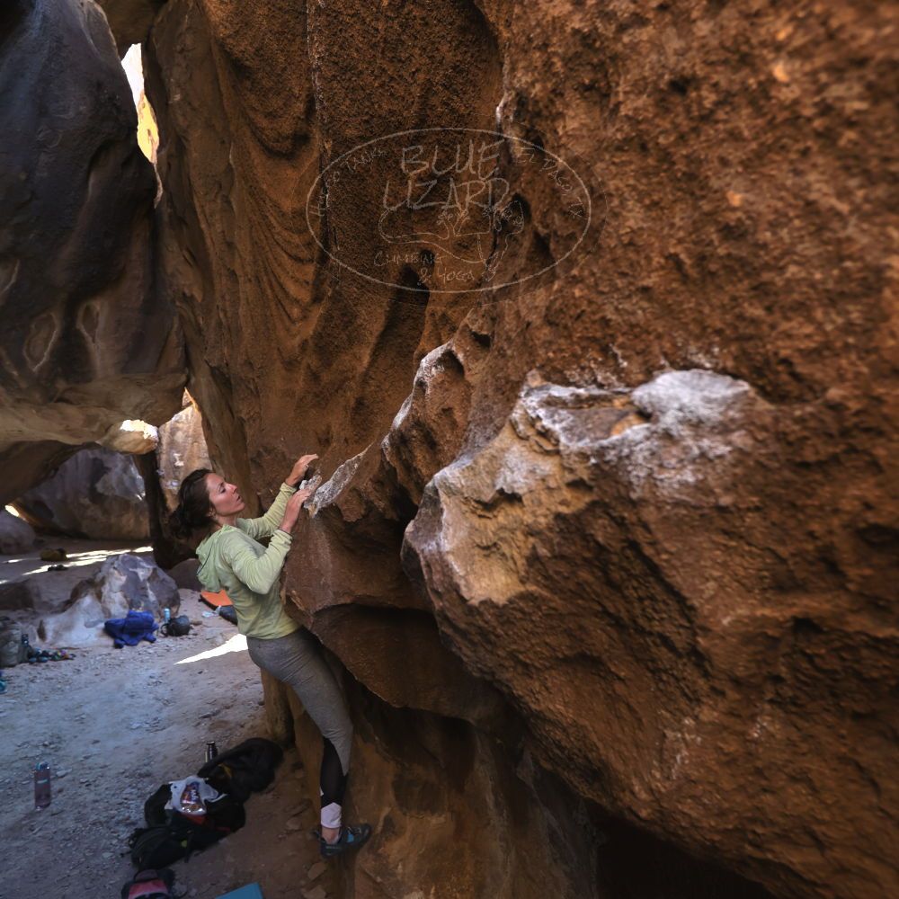 Filename: SRM_20230114_1451100.jpg
Aperture: f/4.0
Shutter Speed: 1/250
Body: Canon EOS R6
Lens: Canon EF 16-35mm f/2.8 L