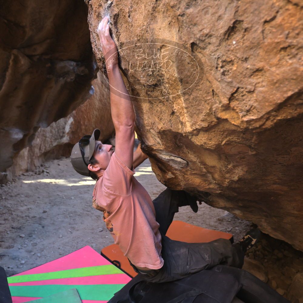 

Filename: SRM_20230114_1509440.jpg
Aperture: f/4.0
Shutter Speed: 1/250
Body: Canon EOS R6
Lens: Canon EF 16-35mm f/2.8 L